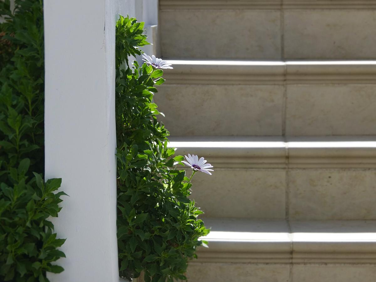 קאטו דרטסו Flamingos Hotel Apartments מראה חיצוני תמונה